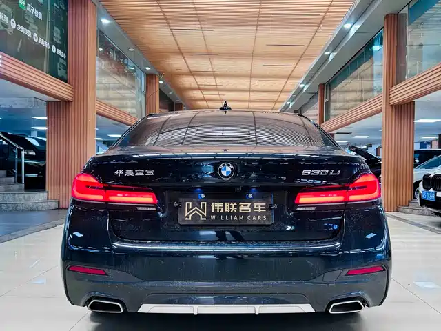 BMW 5 Series 2021 530Li Leading M Sport Package — фото 5