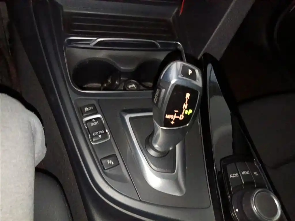 BMW 3 Series 2016 320Li Progressive фото 14