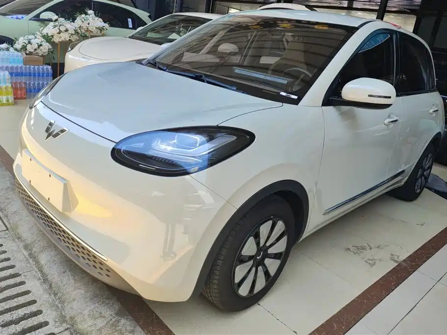 Wuling Motors Wuling Bingo 2023 Model 203km Lite Enjoyment Edition