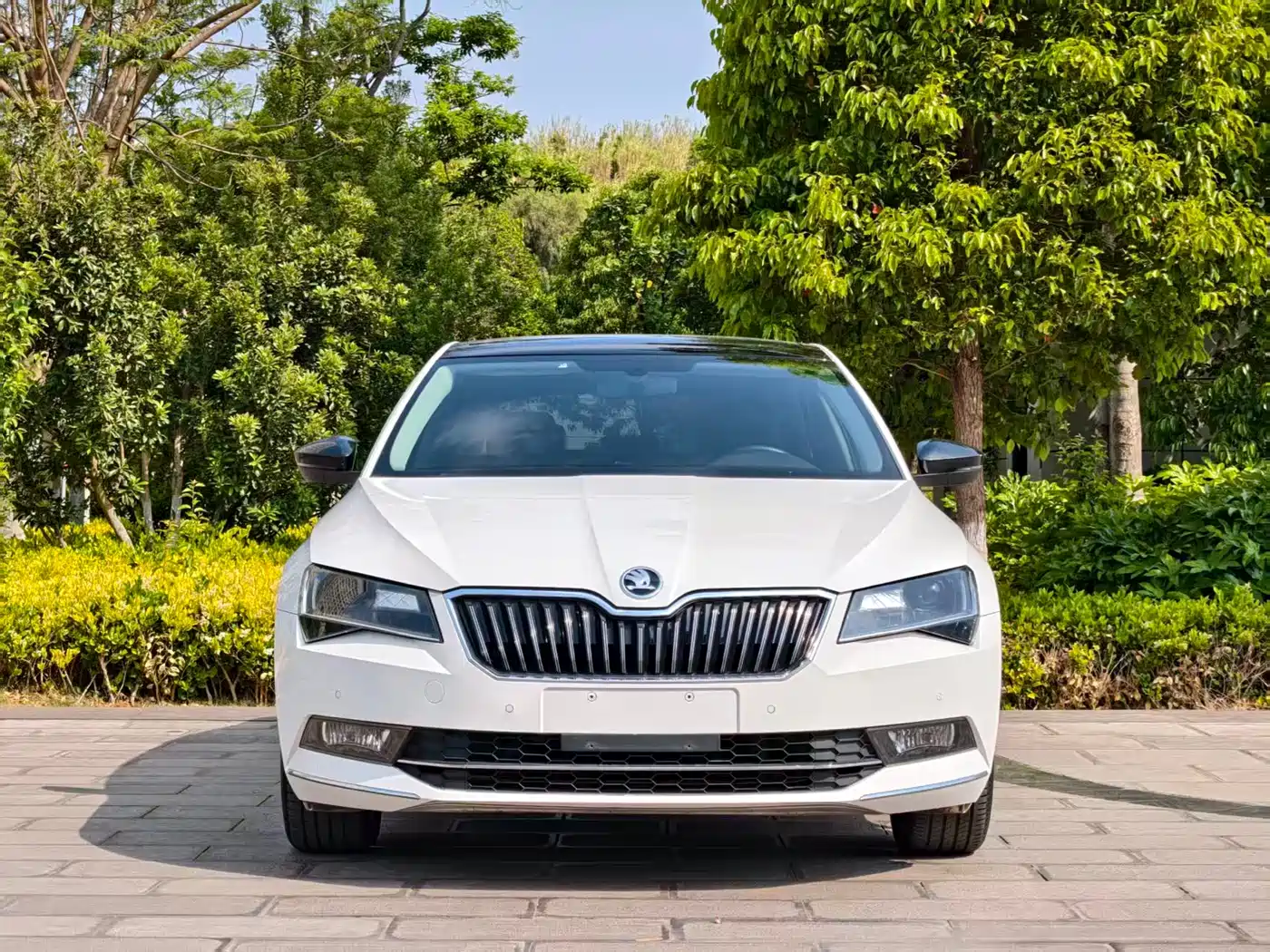 Škoda Superb 2018 TSI330 DSG Comfort Edition China V фото 2