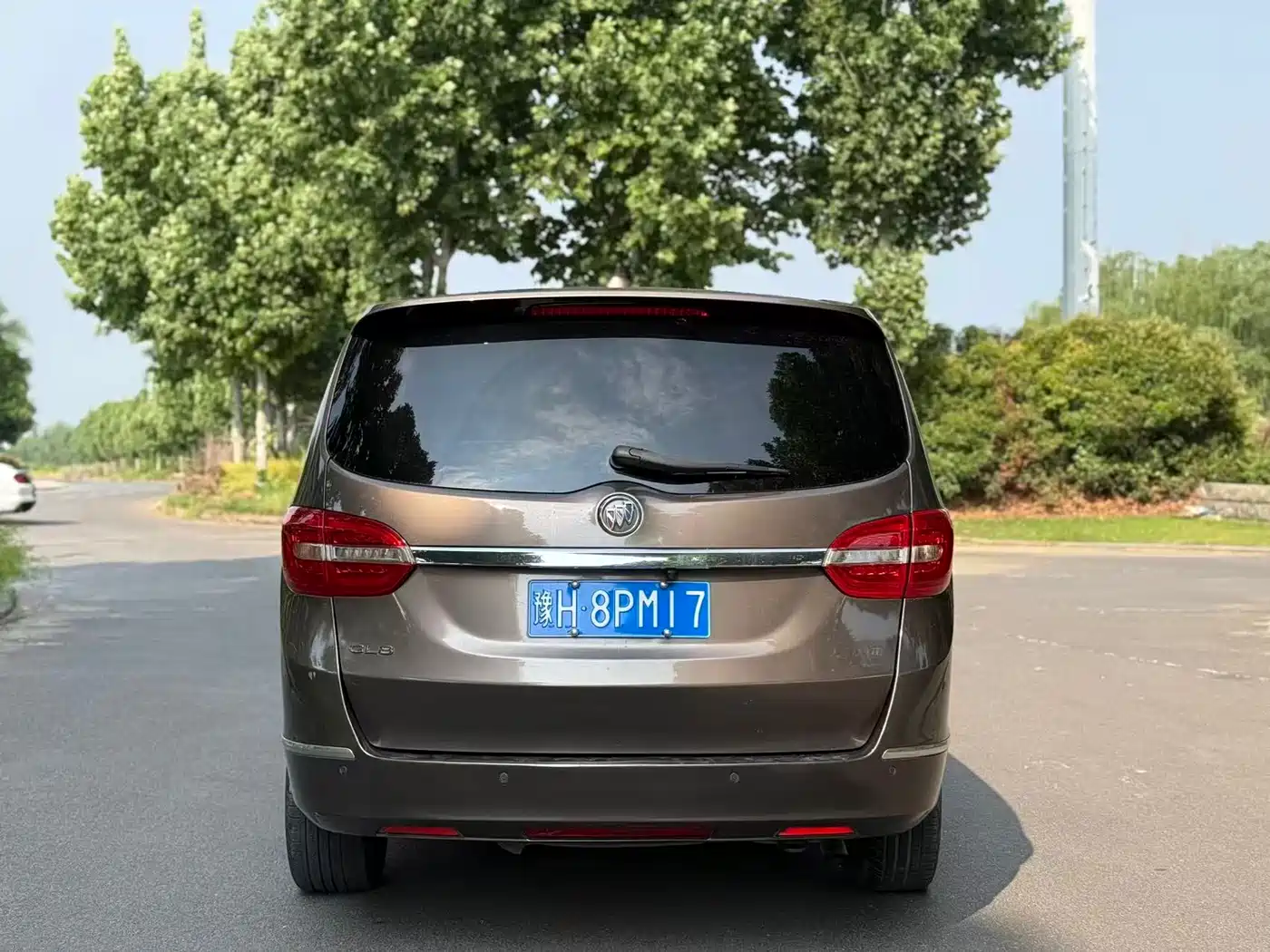 Buick GL8 2014 2.4L LT Luxury Business Executive фото 8
