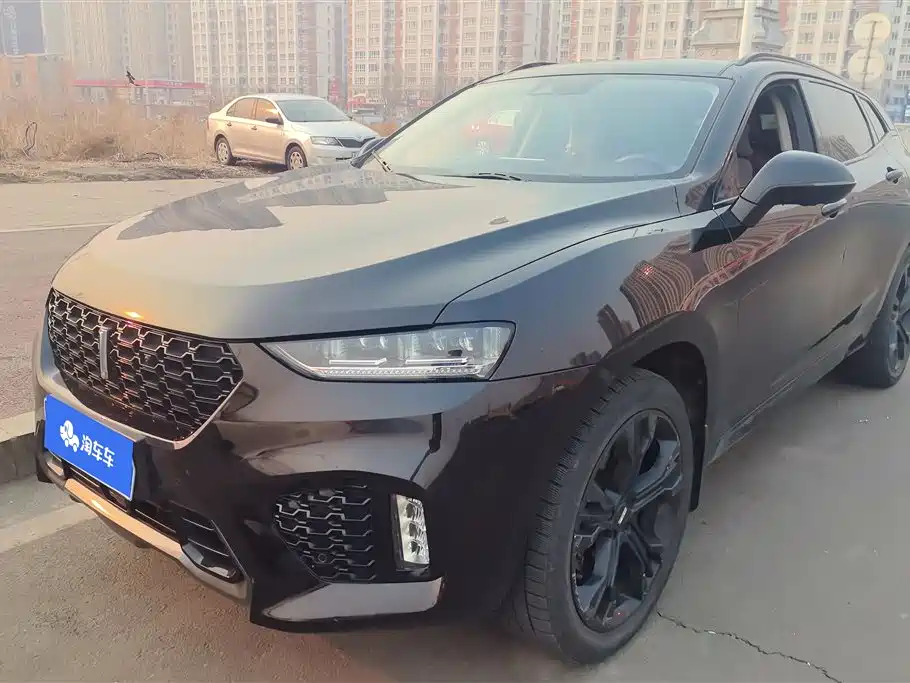 WEI PAI WEI BRAND VV7