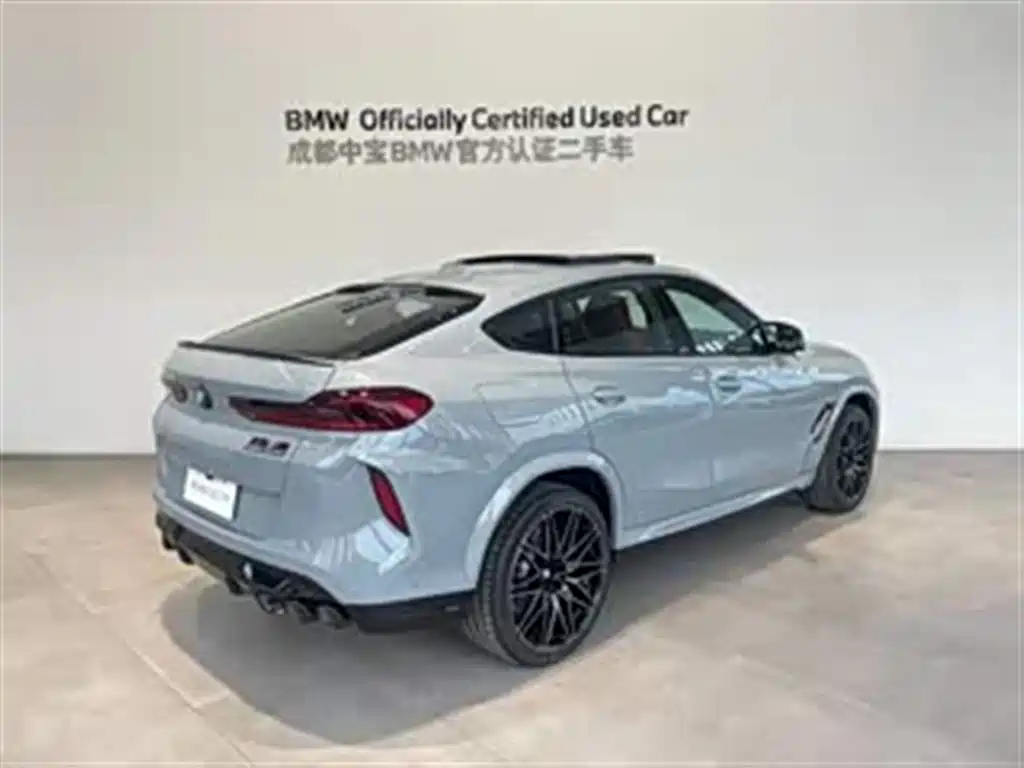 2025 BMW X6 M