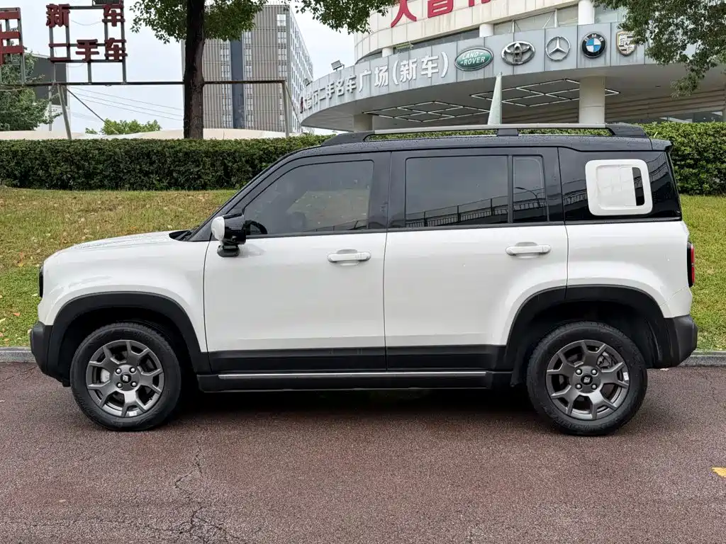 Baojun Yueye Plus 2025 2026 301km Flagship
