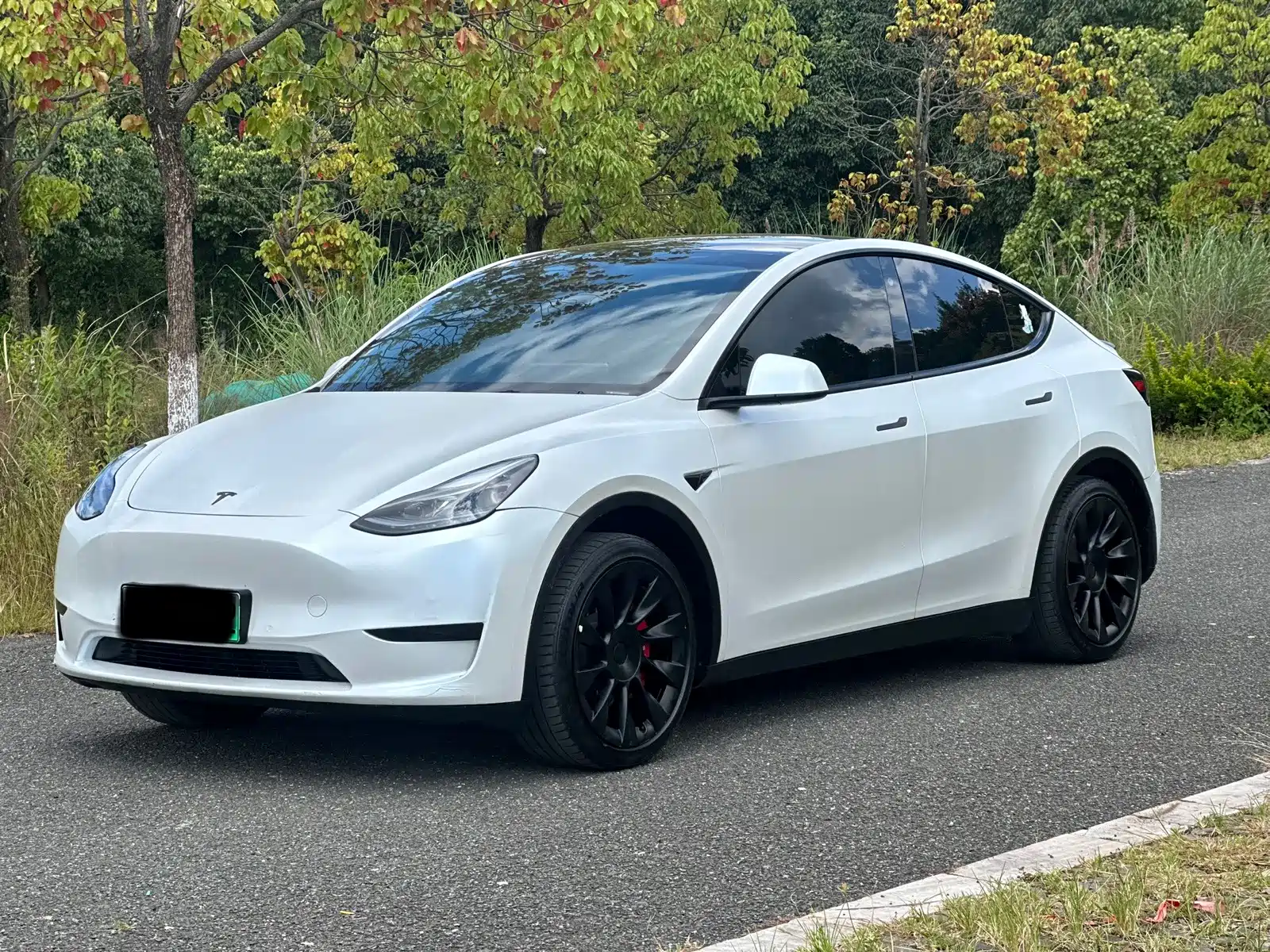 Фото 1 - Tesla Model Y