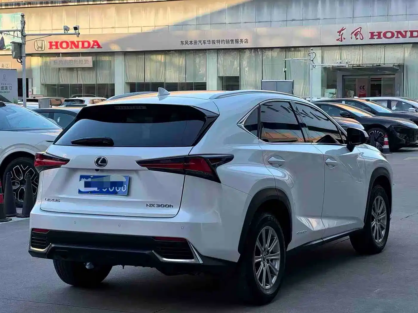 LEXUS NX