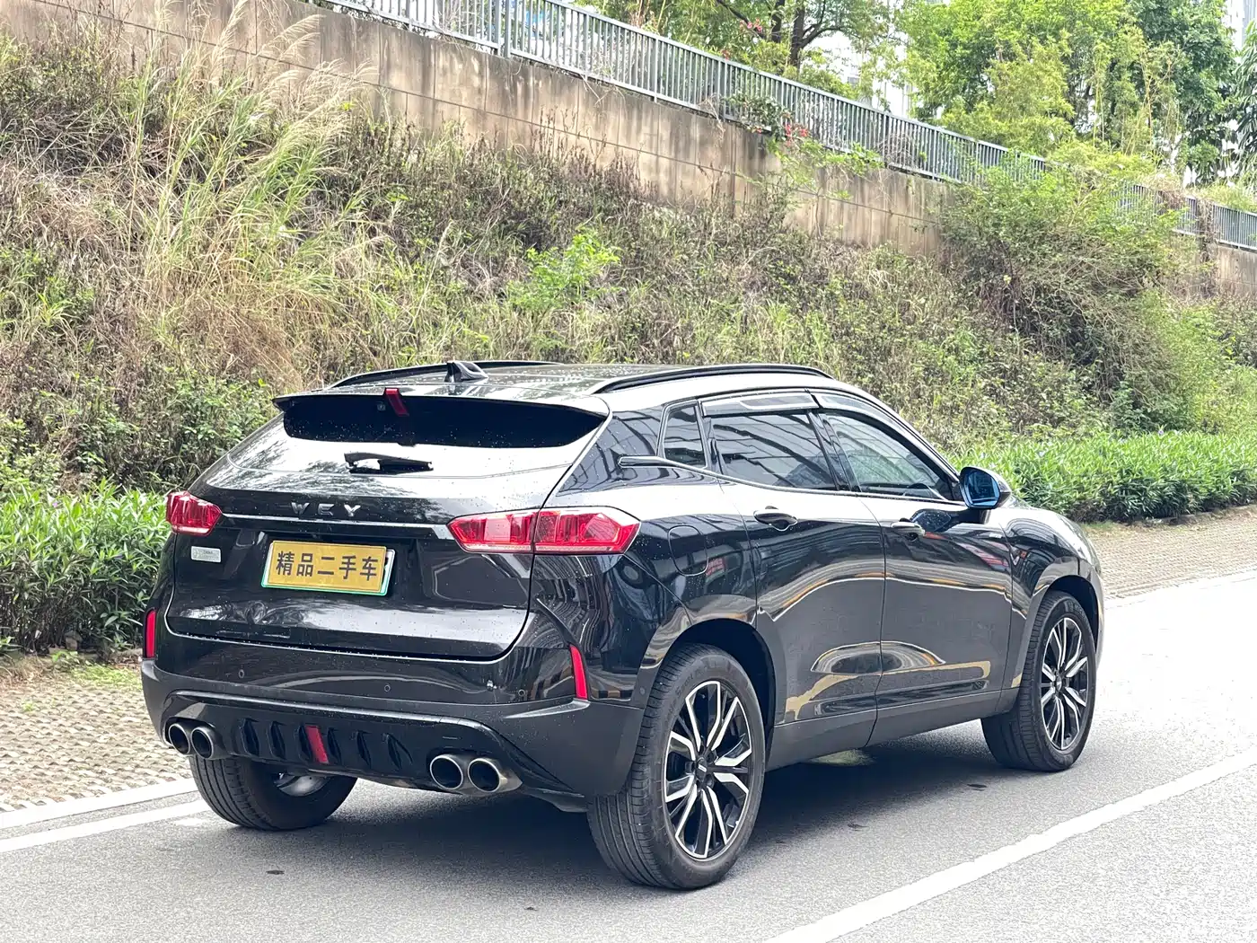 WEI PAI WEI BRAND P8