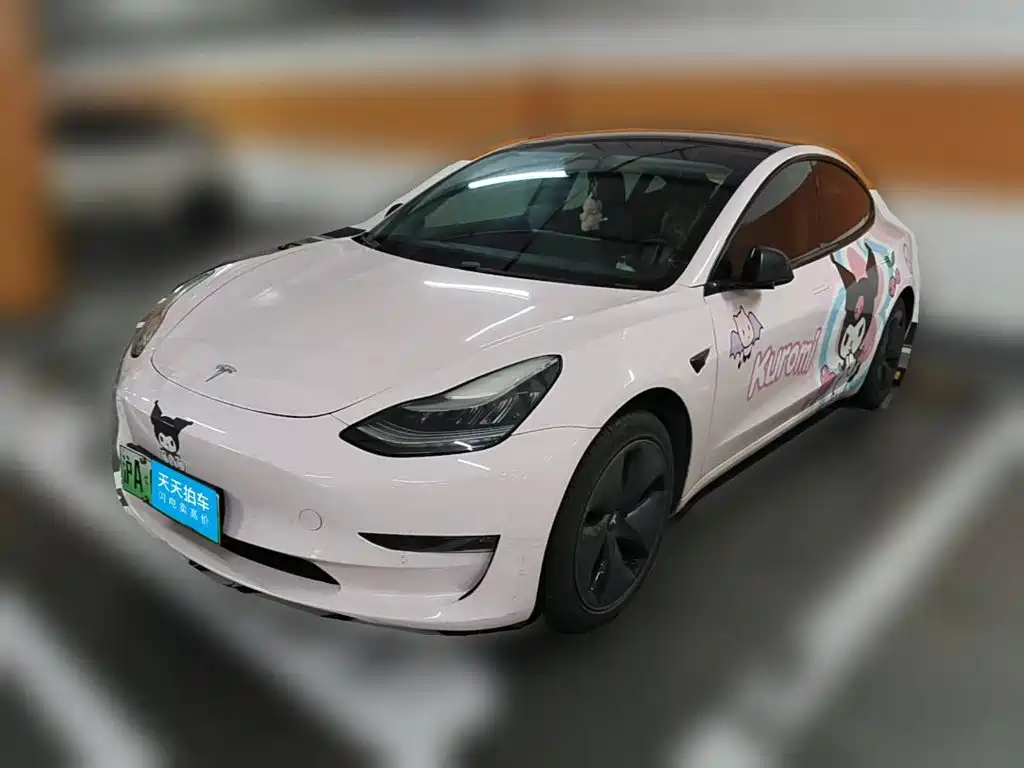 Tesla Model 3 (Import) 2019 Long Range RWD Version