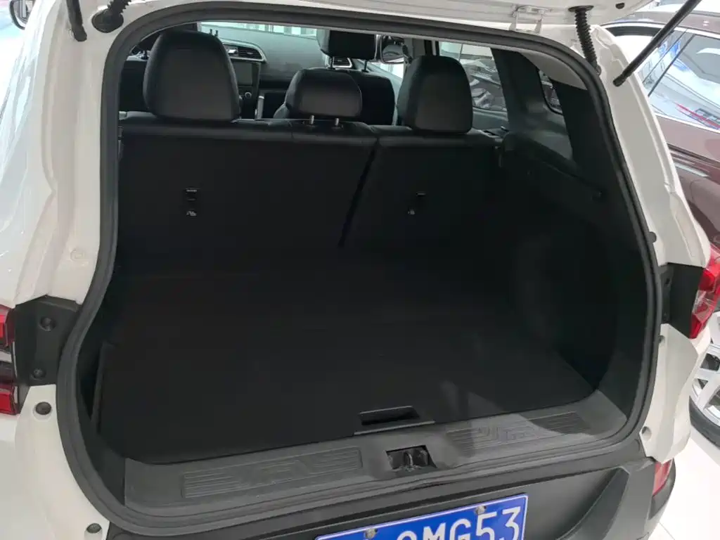 Renault Kadjar 2017 2016 2.0L 2WD Leading