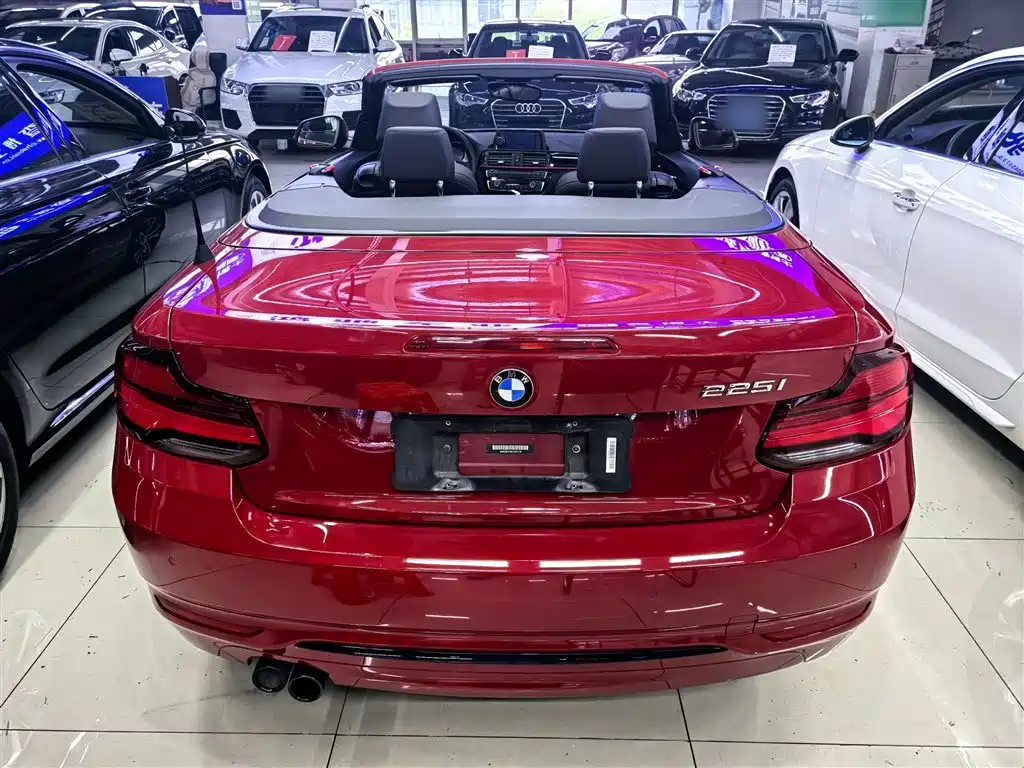 BMW 2 Series (Import) 2019 225i Convertible Coupe Sport Design Package фото 10