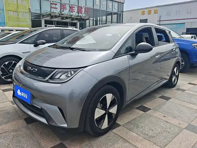 BYD Dolphin 420km, Свобода