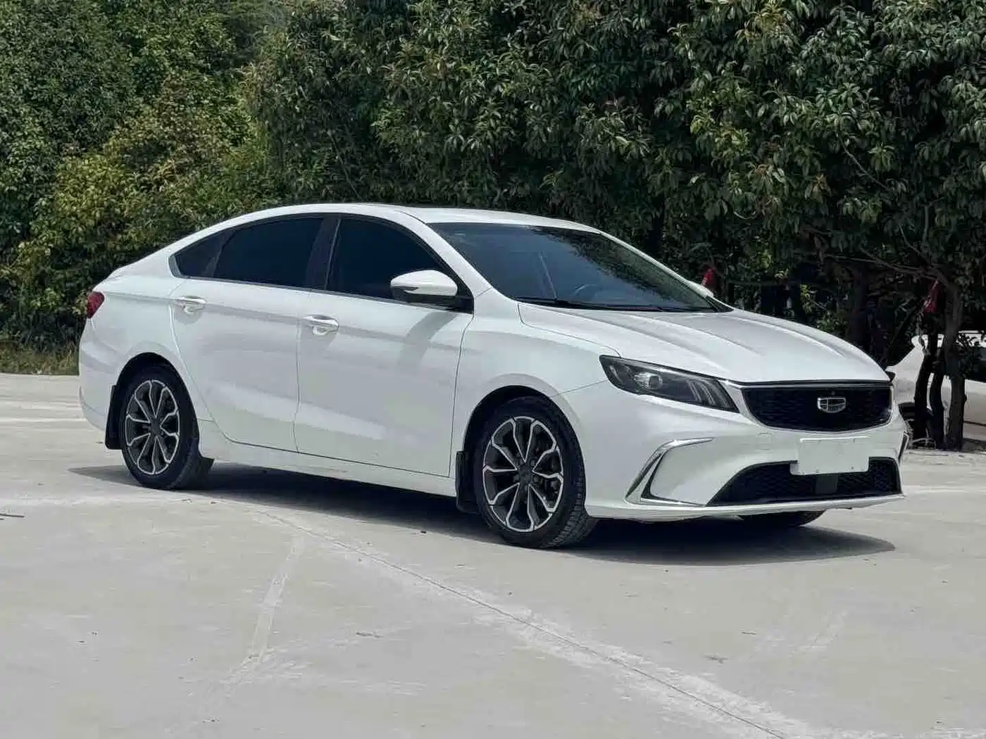 Фото 4 - Geely Binrui