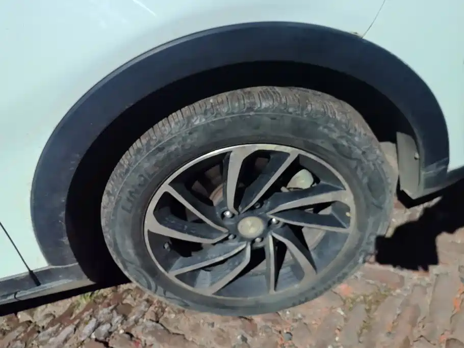 Фото 6 - Zotye T300
