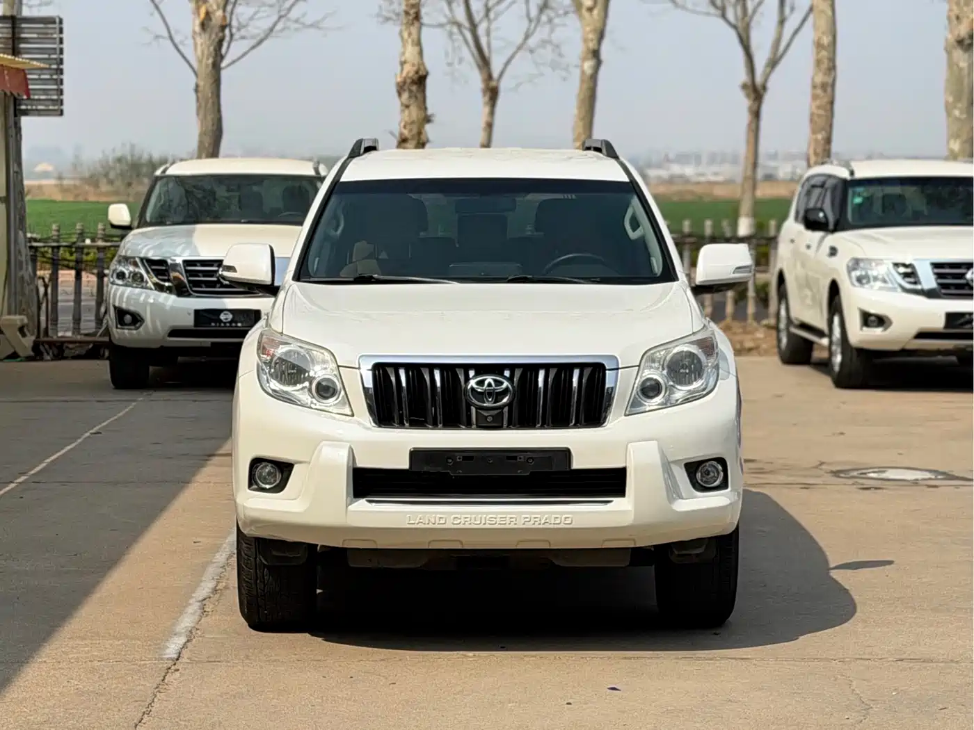 Toyota Prado (Import) 2010 2.7L Automatic Standard фото 2