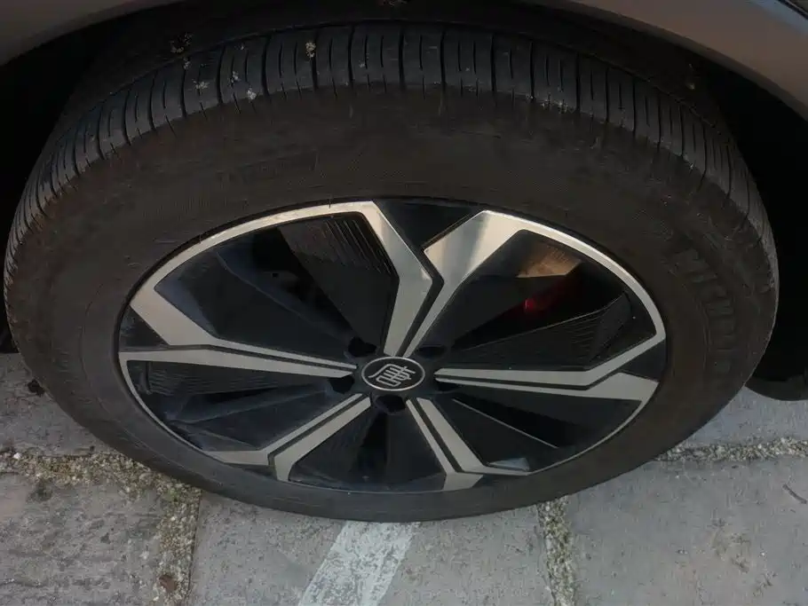 BYD Tang New Energy 2022 EV 635KM AWD Flagship фото 6