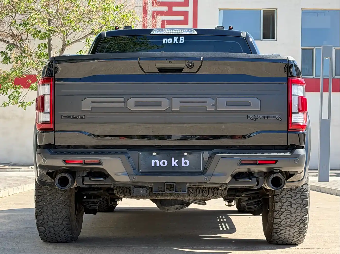 FORD F-150 RAPTOR