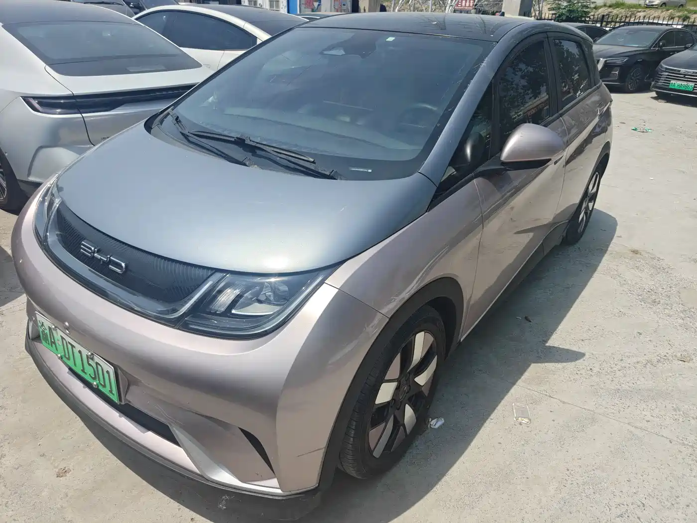 BYD Dolphin 2021 405km Freedom Edition