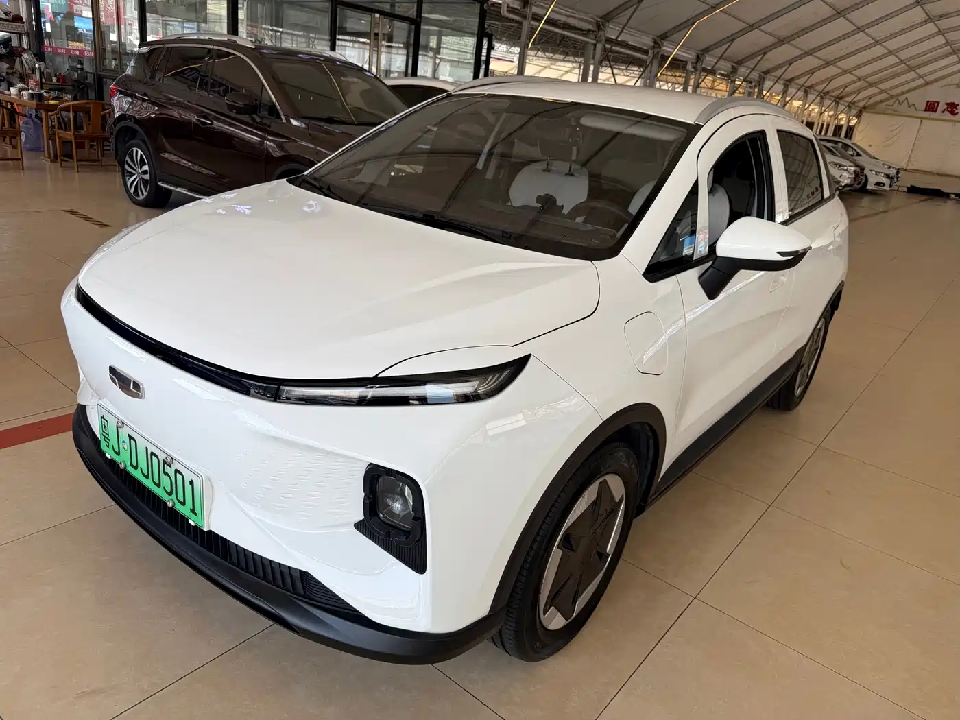 Geely Geometry E Firefly 2024 2024 401km Starlight