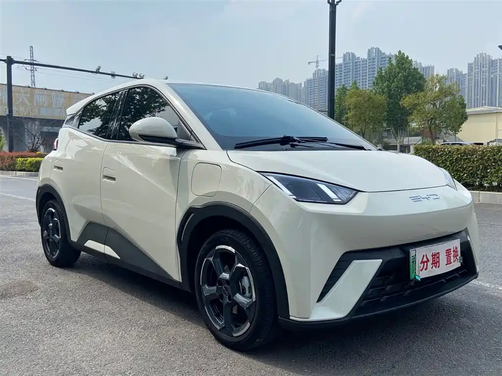 BYD Seagull 2023 Freedom Edition фото 3