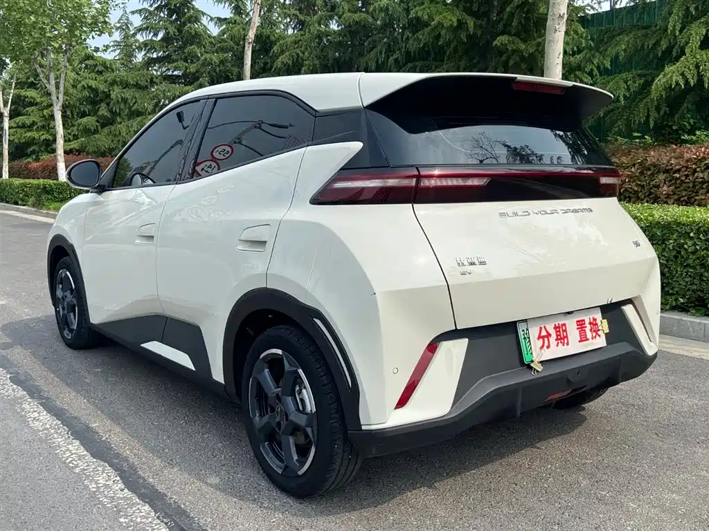 BYD Seagull 2023 Freedom Edition фото 15