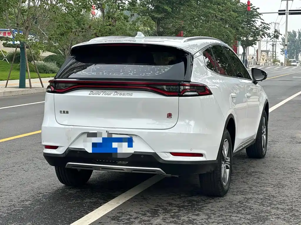 صورة 6 - BYD Tang