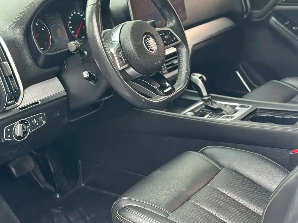 صورة 9 - BYD Tang