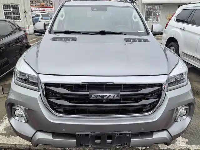 Haval H9 2020 2.0T Gasoline 4WD Luxury 7-Seater