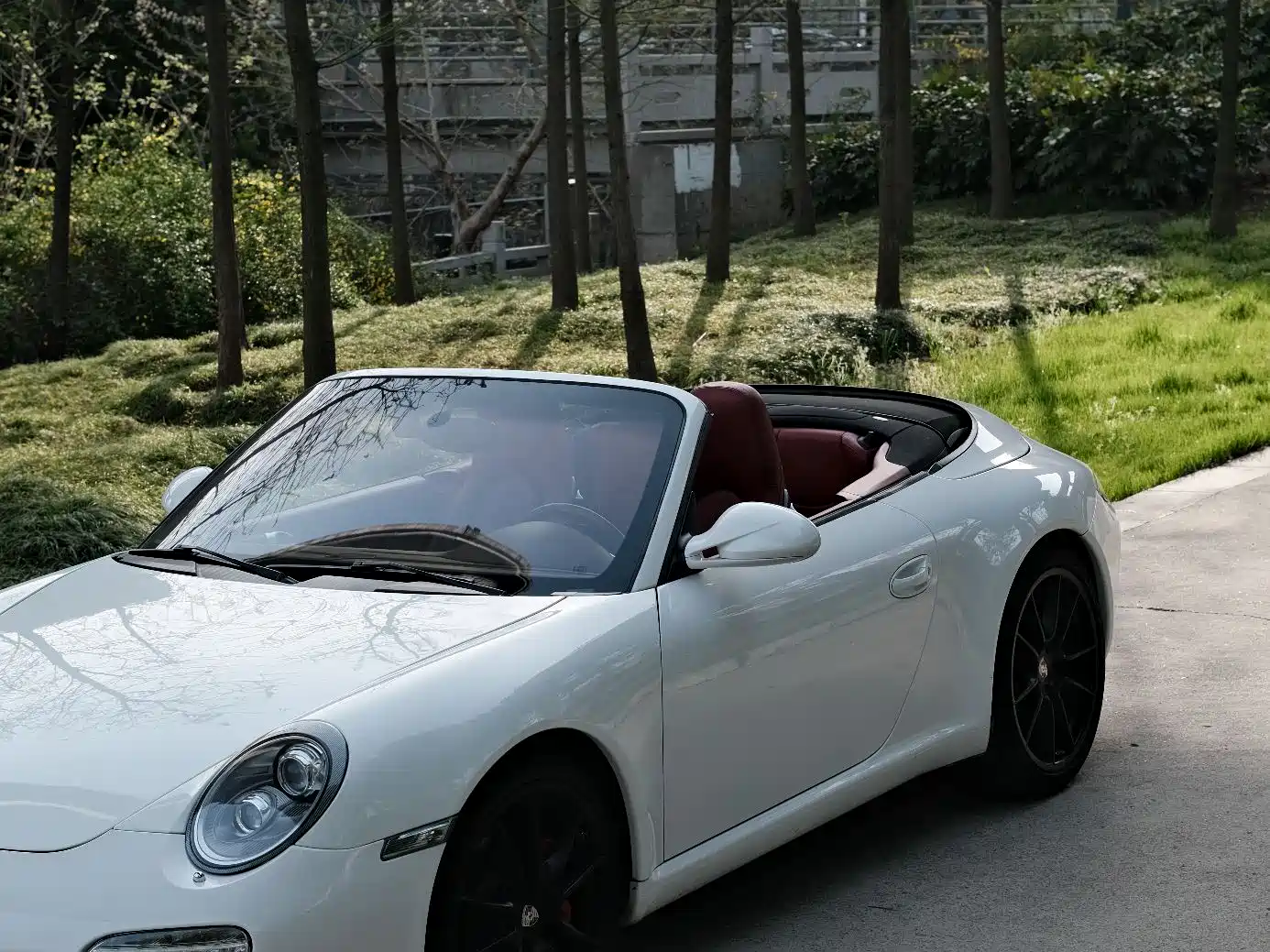 Porsche 911 2010 Carrera Cabriolet 3.6L фото 6