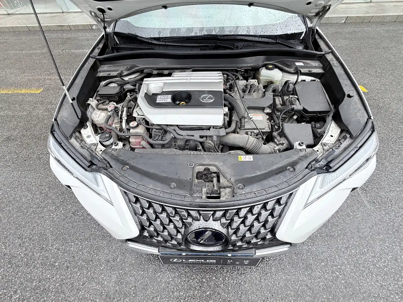 Lexus UX 2020 2020 260h Explore Fun Edition