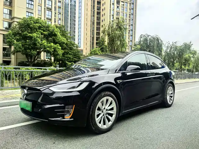  Tesla Model X 2020 Long Range Upgrade