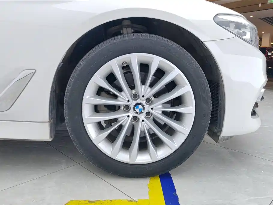 BMW 5 Series 2020 525Li Luxury Package фото 6