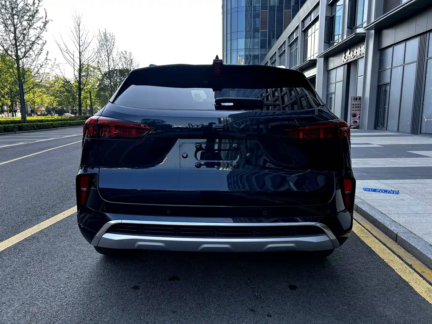 WEY Mocha 2022 2021 2.0T 4WD Premium Edition