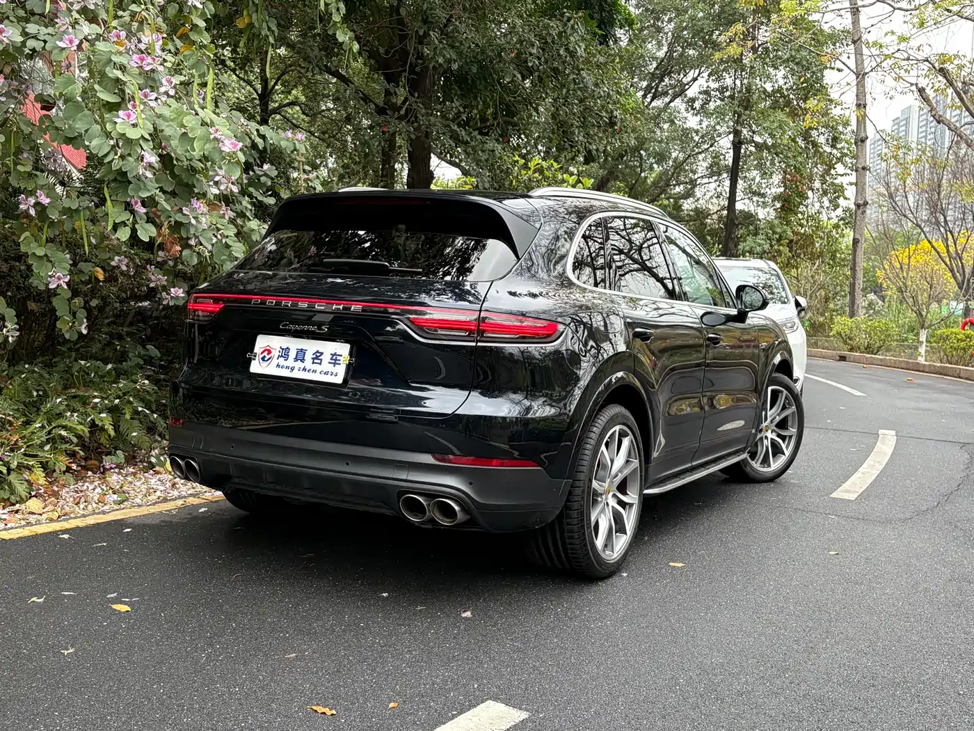 Porsche Cayenne 2019 Cayenne 3.0T фото 5