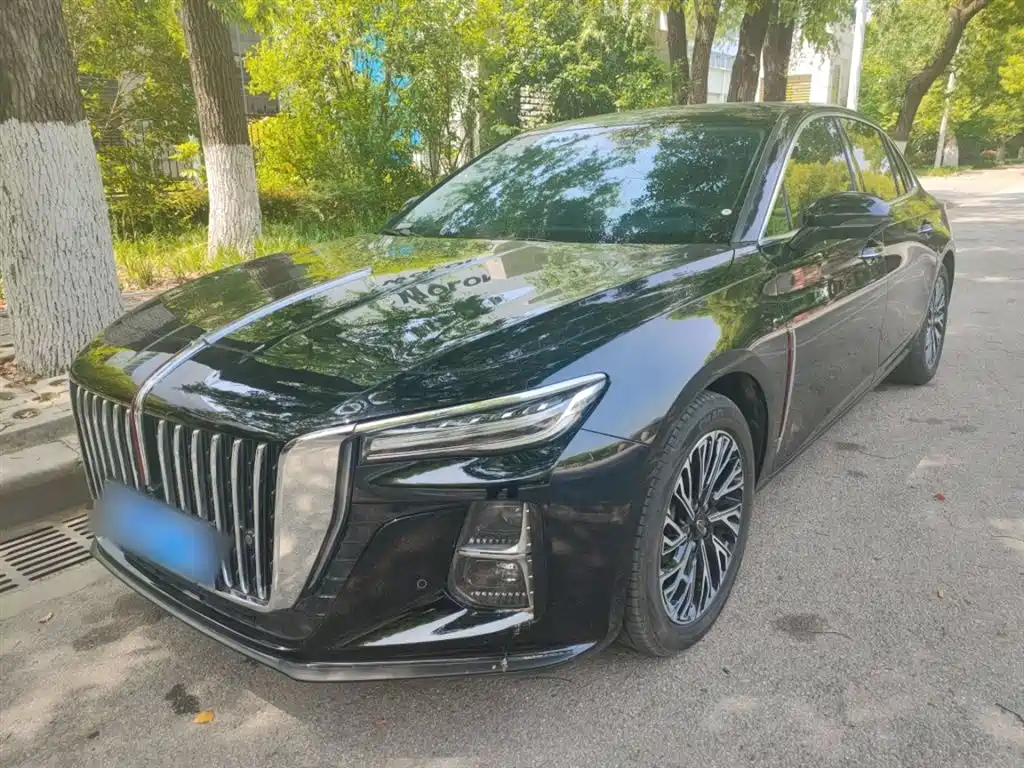 Hongqi H5 2024 2.0T Automatic Smart Connect Flag Smooth Edition