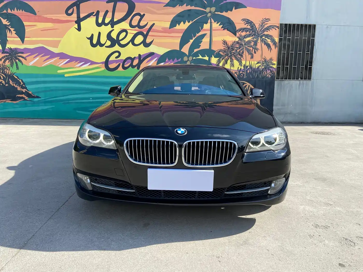 BMW 5 Series 2013 525Li Luxury фото 8