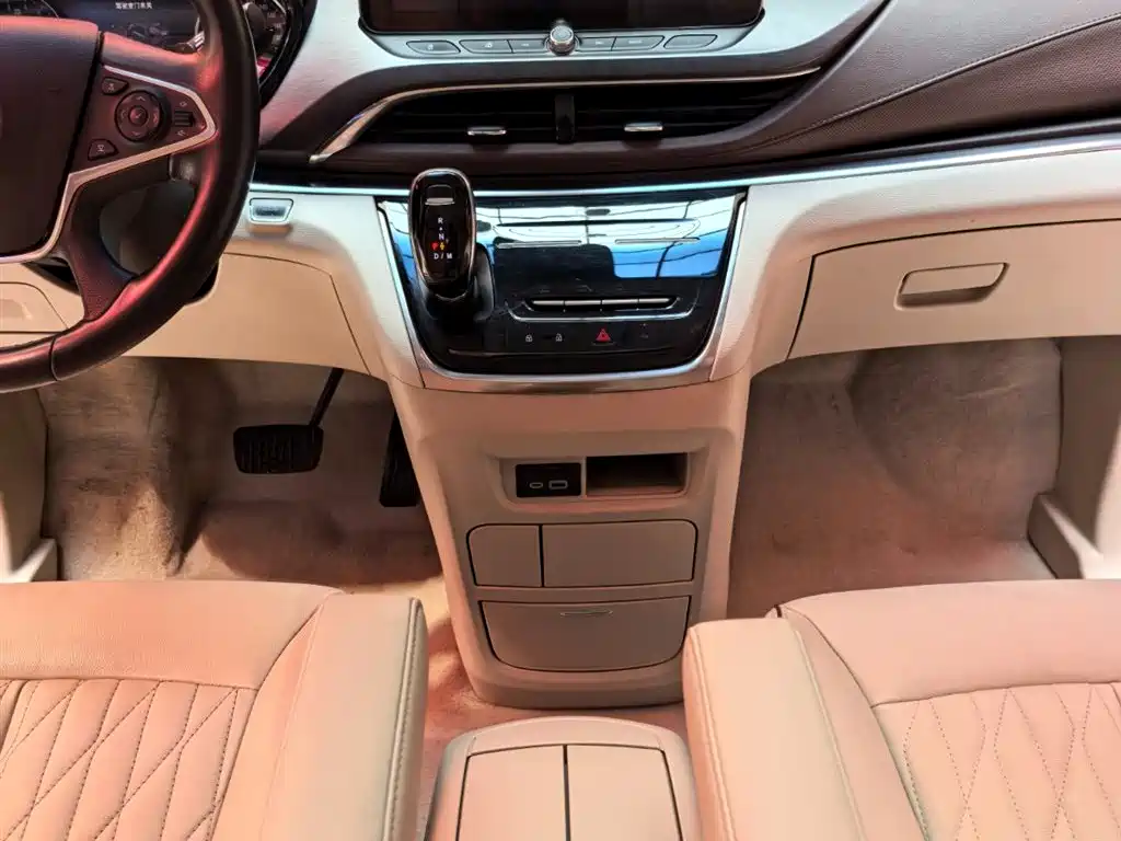 Buick GL8 2021 Land Business Class 652T Luxury фото 12