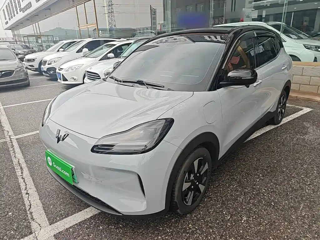 Wuling Motors Wuling Binguo PLUS 2024 Model 510km Flagship Edition 4-Seater