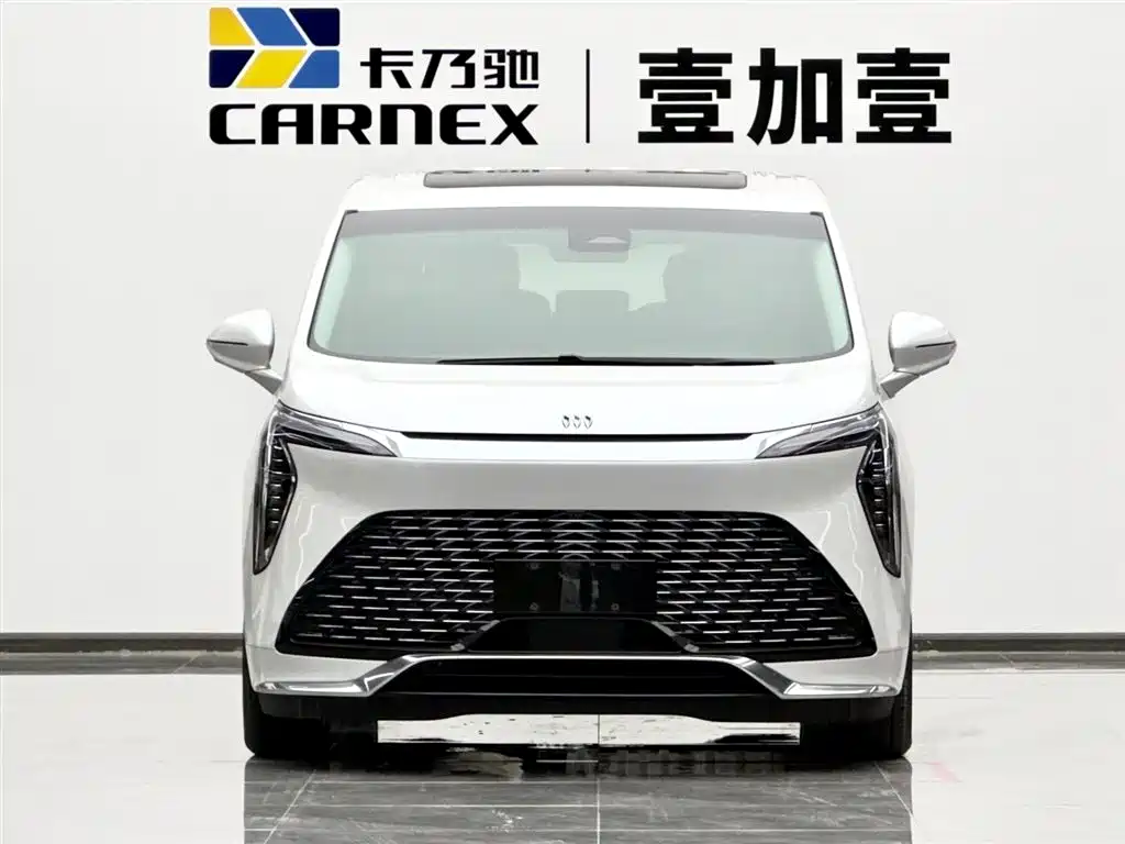 Buick Century 2025 2.0T 7-Seater World Edition фото 2
