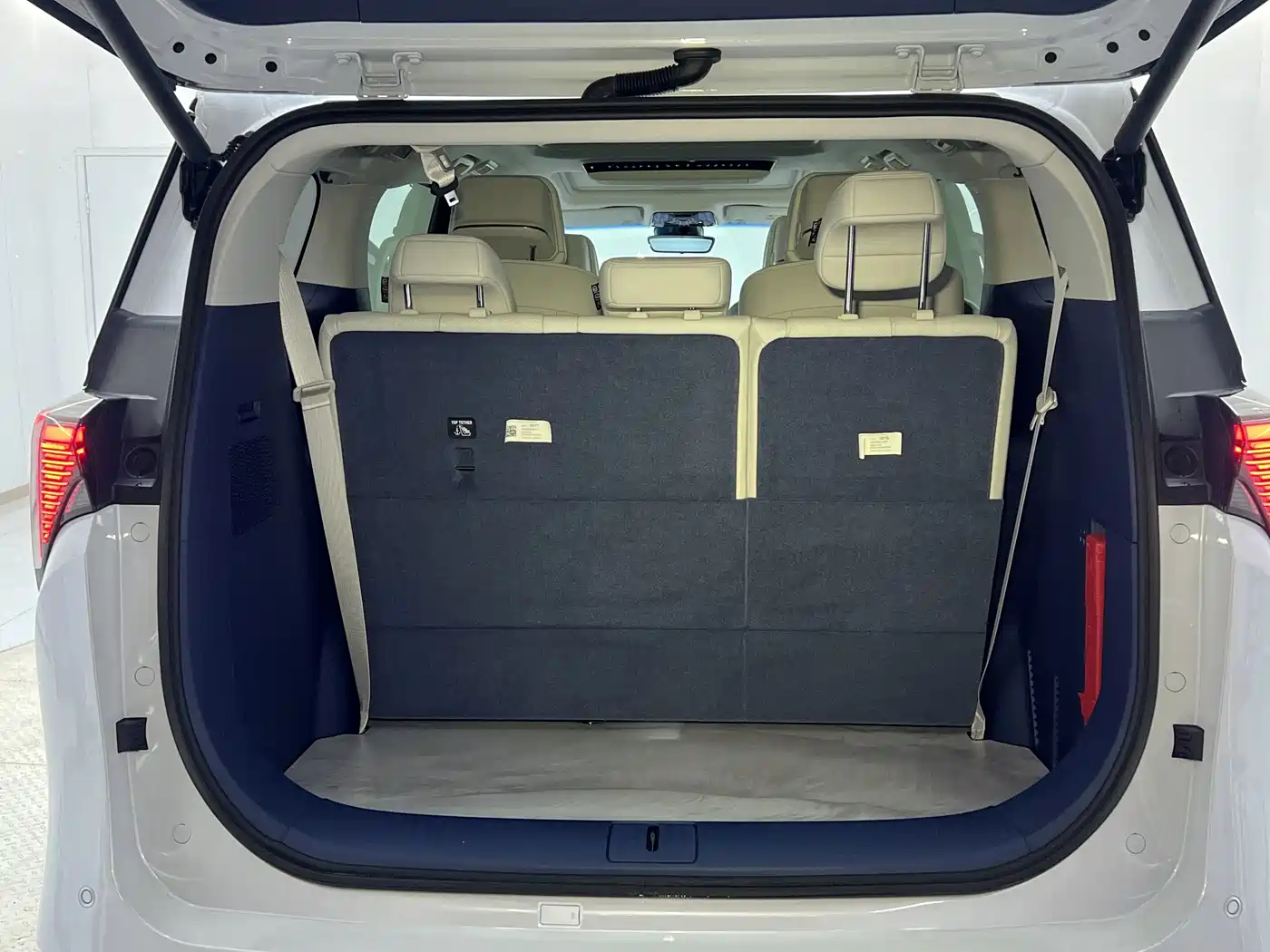 Buick GL8 New Energy 2024 2024 Landglory Luxury Edition 7-Seater