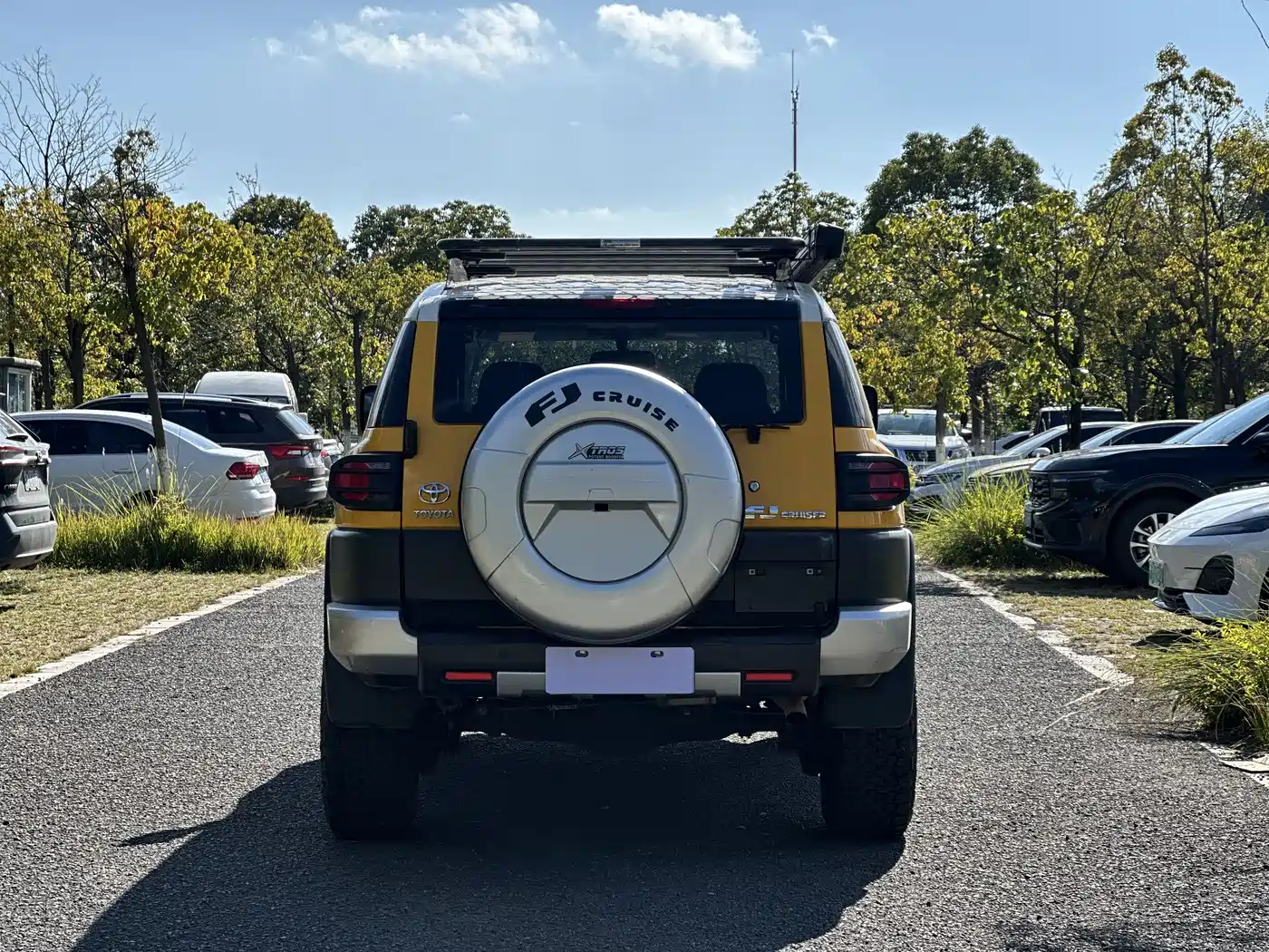 Toyota FJ Cruiser 2013 4.0L фото 3