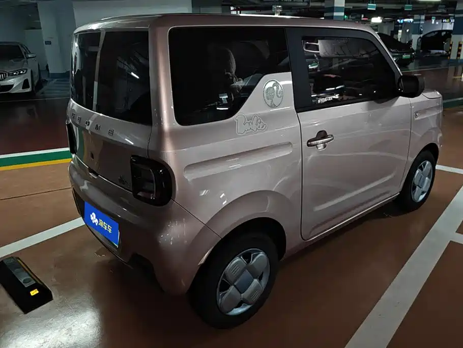 Geely Galaxy Panda 2023 Panda Mini 200km Endurance Bear фото 3