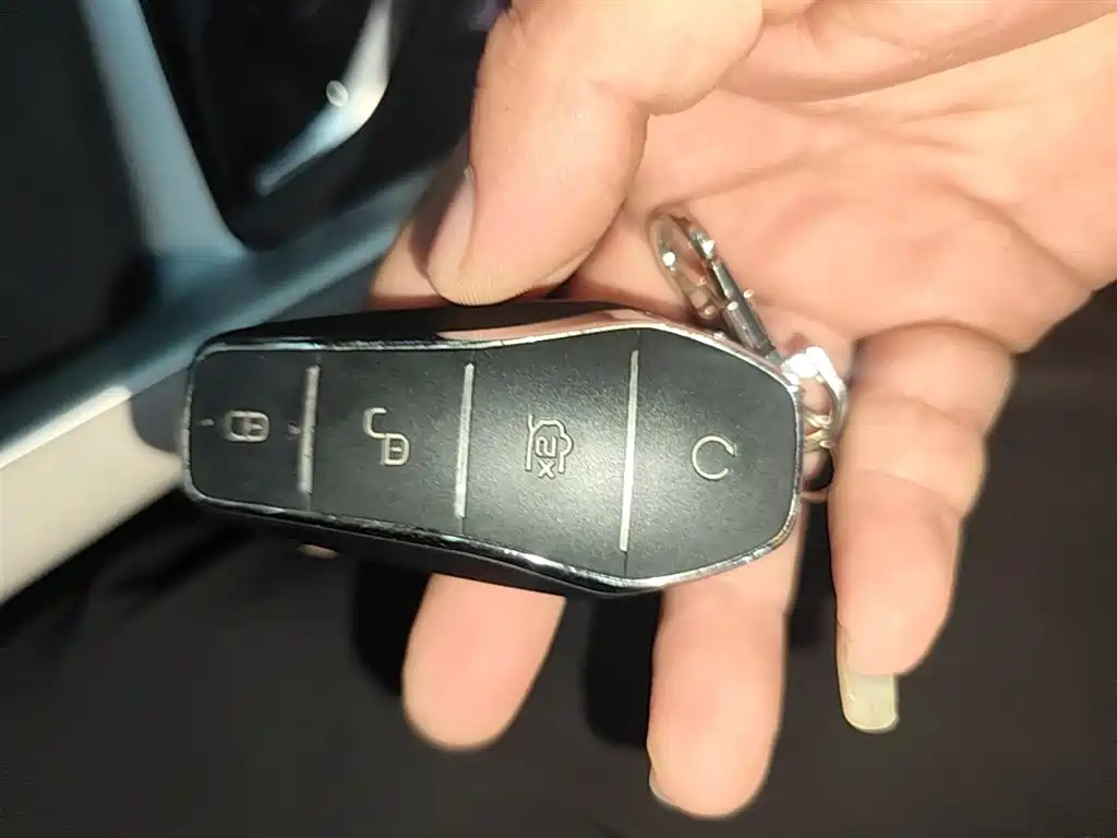 BYD Song Pro New Energy 2023 Champion Edition DM-i 110KM Excellence фото 9