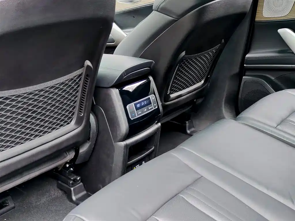 Denza X 2020 Model PHEV Flagship Edition фото 9