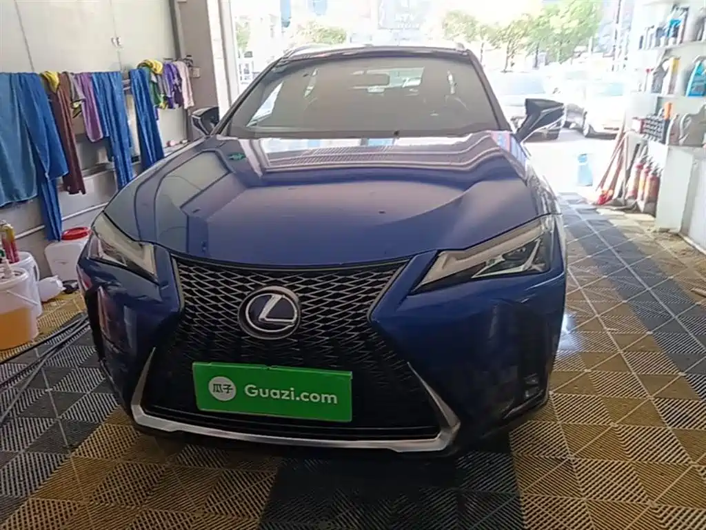 Lexus UX 2019 260h F SPORT Edition China VI фото 3