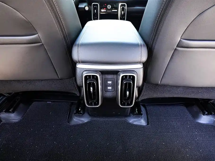 Haval Big Dog 2024 Model 1.5T DCT Labrador Edition фото 16