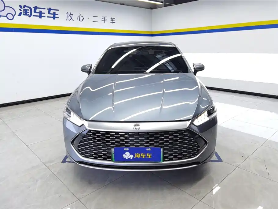 BYD Qin PLUS 2023 Champion Edition DM-i 55KM Leading фото 2