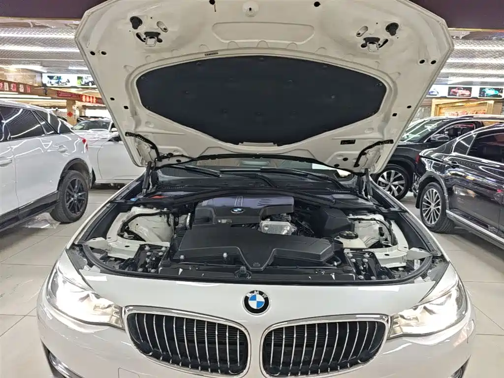 BMW 3 Series GT 2016 320i Design Package фото 20