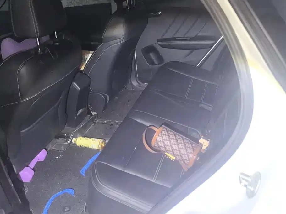 BYD e2 2020 2019 Standard Range Intelligent Comfort