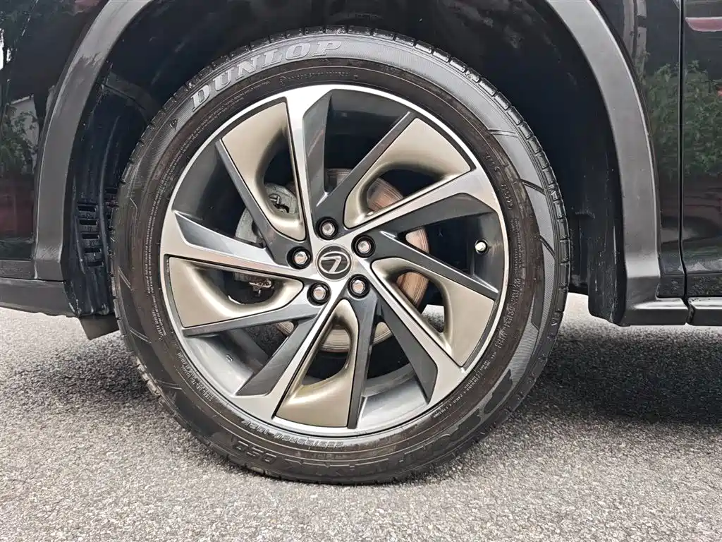 Lexus RX 2016 300 4WD Elegance Edition (China V) фото 30