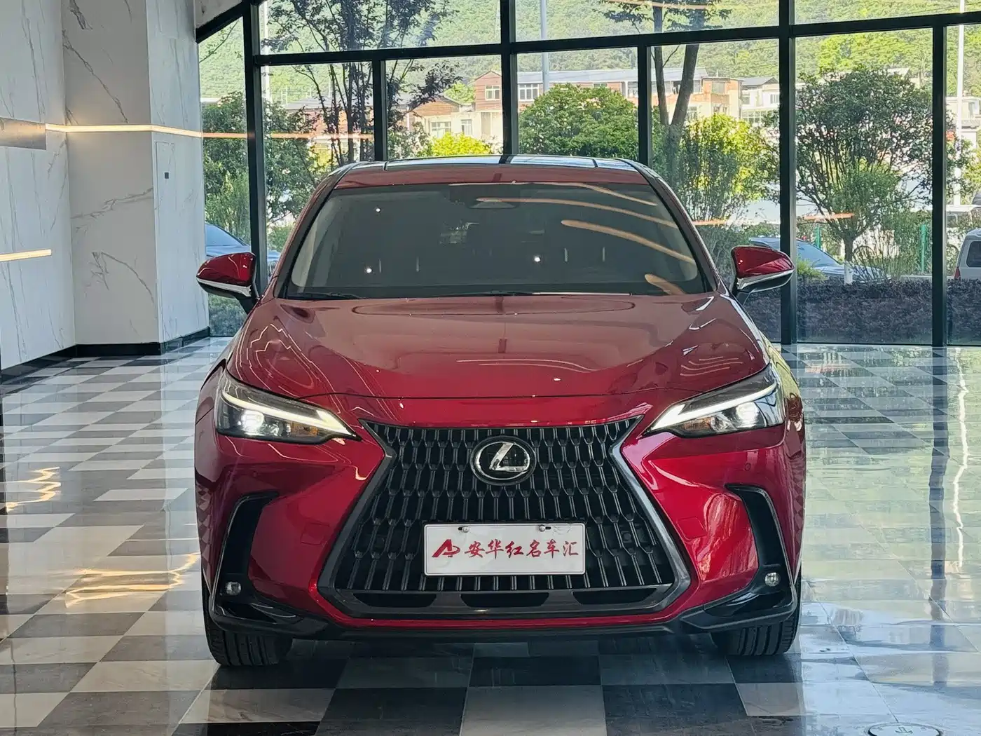 LEXUS NX